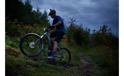 Giant Talon E+ 29