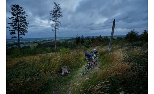 Rent the Giant Talon E+ 29 | Powerful and Versatile Hardtail E-MTB