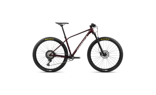 Alma H30 mieten | 29" Hardtail-Mountainbike für XC und Touren