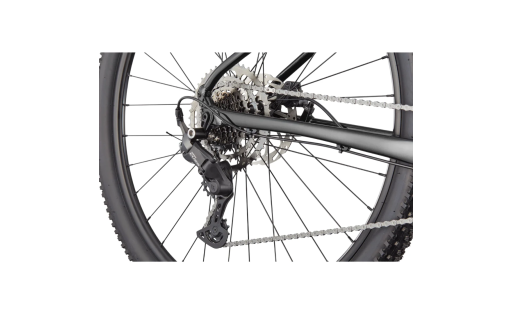 Cannondale Trail 2 | Hardtail MTB for Trail Adventures