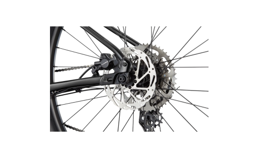Cannondale Trail 2 | Hardtail MTB for Trail Adventures